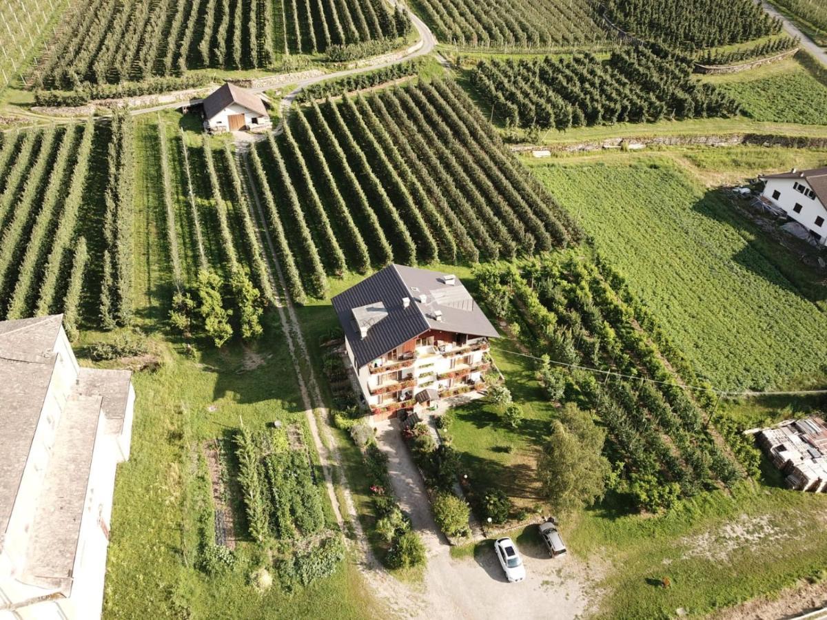 Ca' Marchesi Apartments Sernio المظهر الخارجي الصورة
